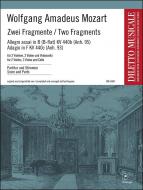Zwei Fragmente 
