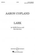 Lark 