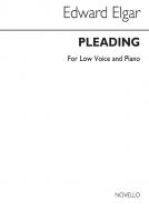 Pleading 