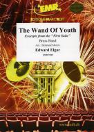 The Wand Of Youth Standard