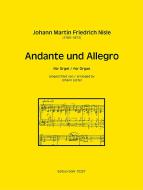 Andante und Allegro 