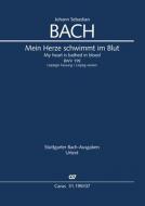Mein Herze schwimmt im Blut 