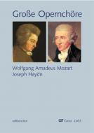 Great Opera Choruses: Wolfgang Amadeus Mozart - Joseph Haydn 