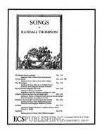 Velvet Shoes 
