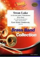 Schwanensee Standard
