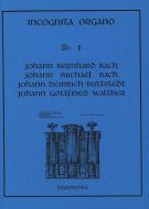 Incognita Organo 01 