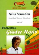 Salsa Sensation Download