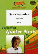 Salsa Sensation Download