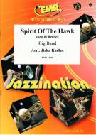 Spirit Of The Hawk Download
