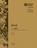 Konzert in d-Moll BWV 1063 