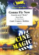 Gonna Fly Now Download