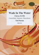 Wade In The Water Download