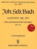Herz und Mund und Tat und Leben 