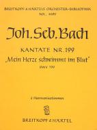 Mein Herze schwimmt im Blut 