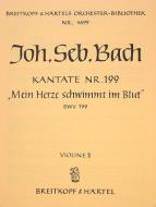 Mein Herze schwimmt im Blut 
