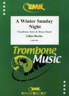 A Winter Sunday Night Download