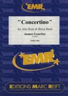 Concertino Download