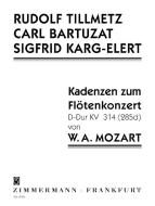 Cadenzas for the Flute Concert No. 2 D major KV 314 (285d) 