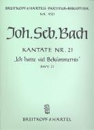 Ich hatte viel Bekümmernis 