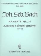 Geist und Seele wird verwirret 