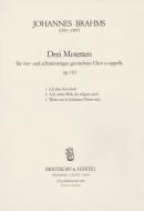 3 Motetten op. 110 