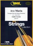 Ave Maria Standard