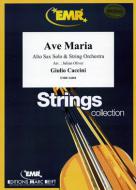 Ave Maria Standard