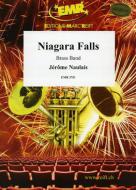 Niagara Falls Standard