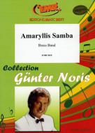 Amaryllis Samba Standard