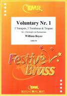 Voluntary No. 1 Standard