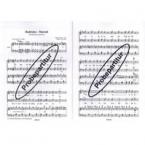 Radetzky-Marsch 