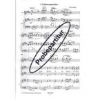 Lieder der Sehnsucht 