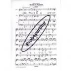 Hymne an die Nacht 