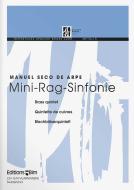 Mini sinfonía de trapo Standard