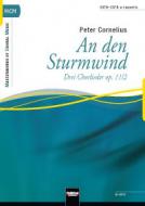 An den Sturmwind 