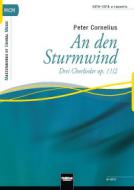 An den Sturmwind 