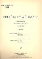 Pelleas Duo à la Fontaine Piano 