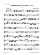 Himmelfahrts-Oratorium BWV 11 