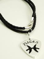 Rockys Plektrum + Kette Sternzeichen Fische 