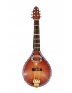 Magnet Mandolin 