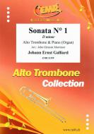 Sonata No. 1 in D minor Standard