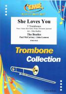 She Loves You Standard