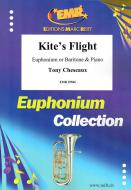 Kite's Flight Standard