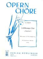 Entführungschor (Herzog, Herzog!) aus der Oper Rigoletto 