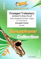 Trumpet Voluntary Download