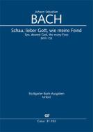 See, dearest God, the many foes BWV 153 Standard