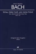 See, dearest God, the many foes BWV 153 Standard