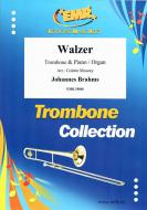 Walzer Standard
