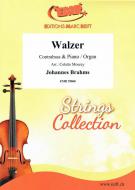 Walzer Standard