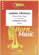 Andante Affettuoso Standard